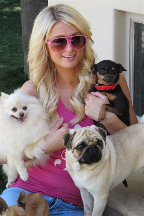 paris hilton's dogs names